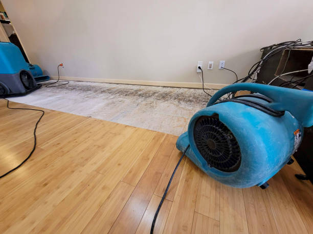 Professional Sewage Cleanup technician working in McQueeney, TX